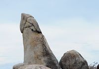 Stepanka a penis